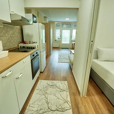 Διαμέρισμα Apartma Alina