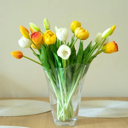 Apartma Alina * Lucija