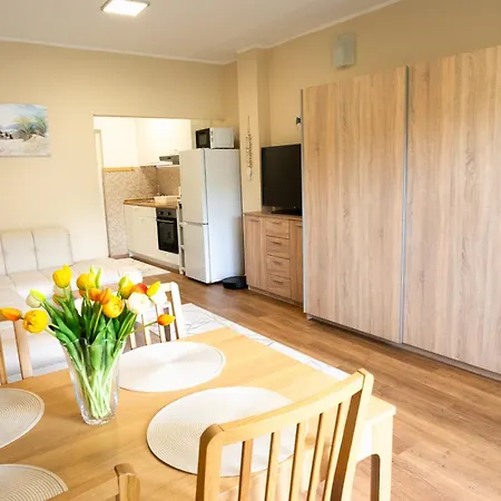 Apartma Alina Apartament *