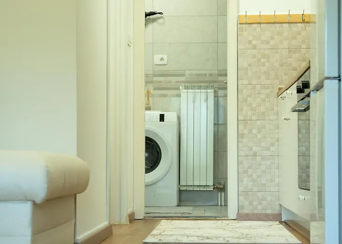 Apartma Alina דירה