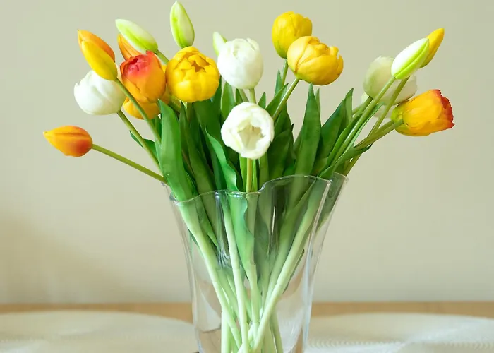 Apartma Alina * לוסיה