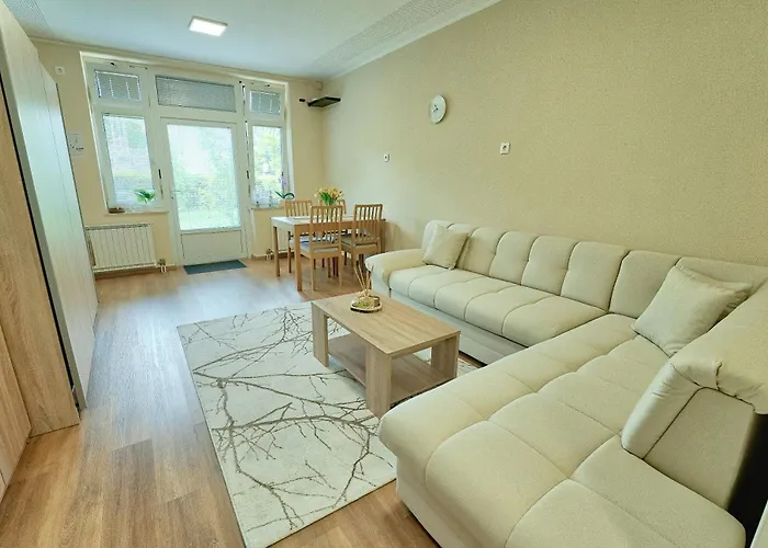 Apartma Alina Apartment Lucija